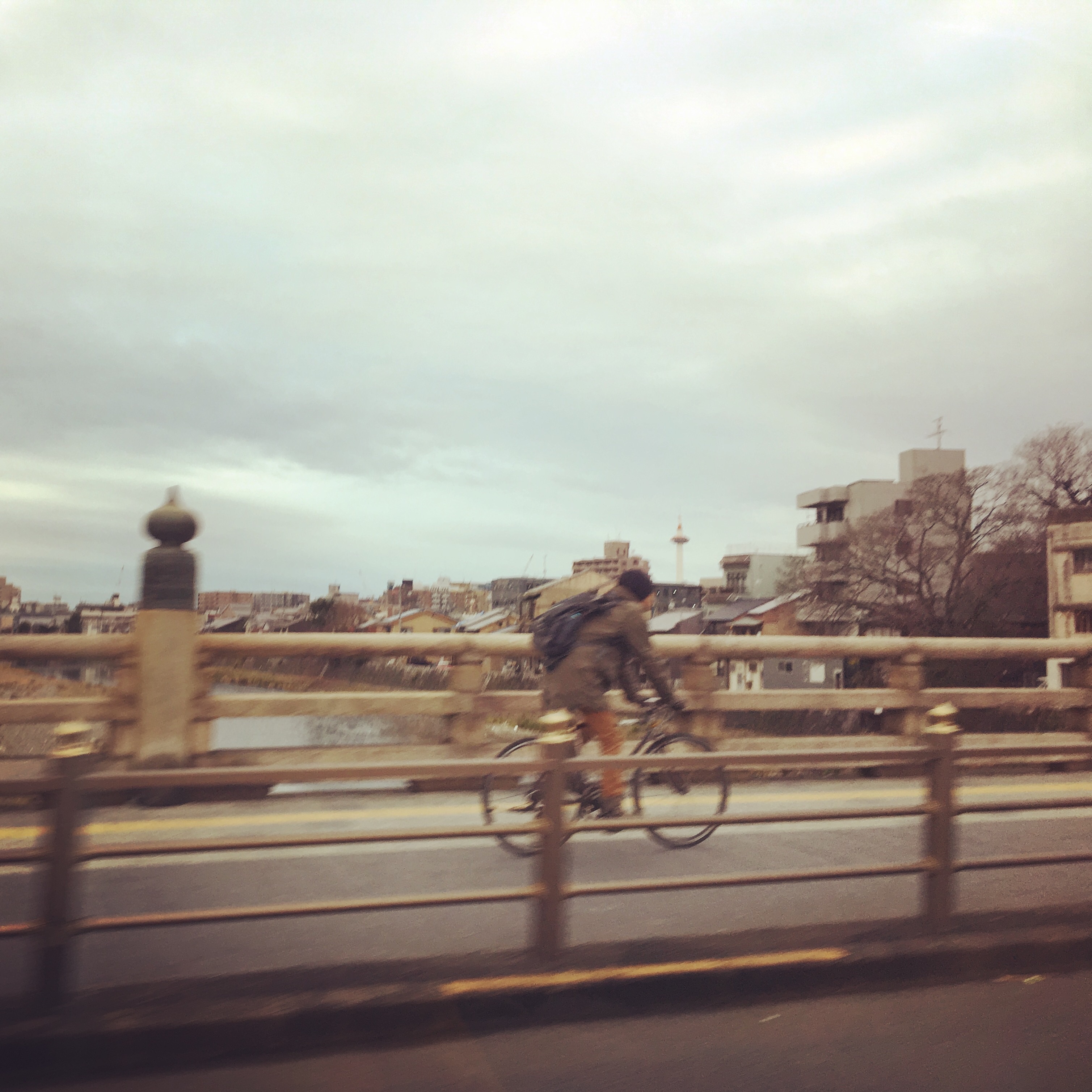 f:id:tokyo100k:20190113204252j:plain