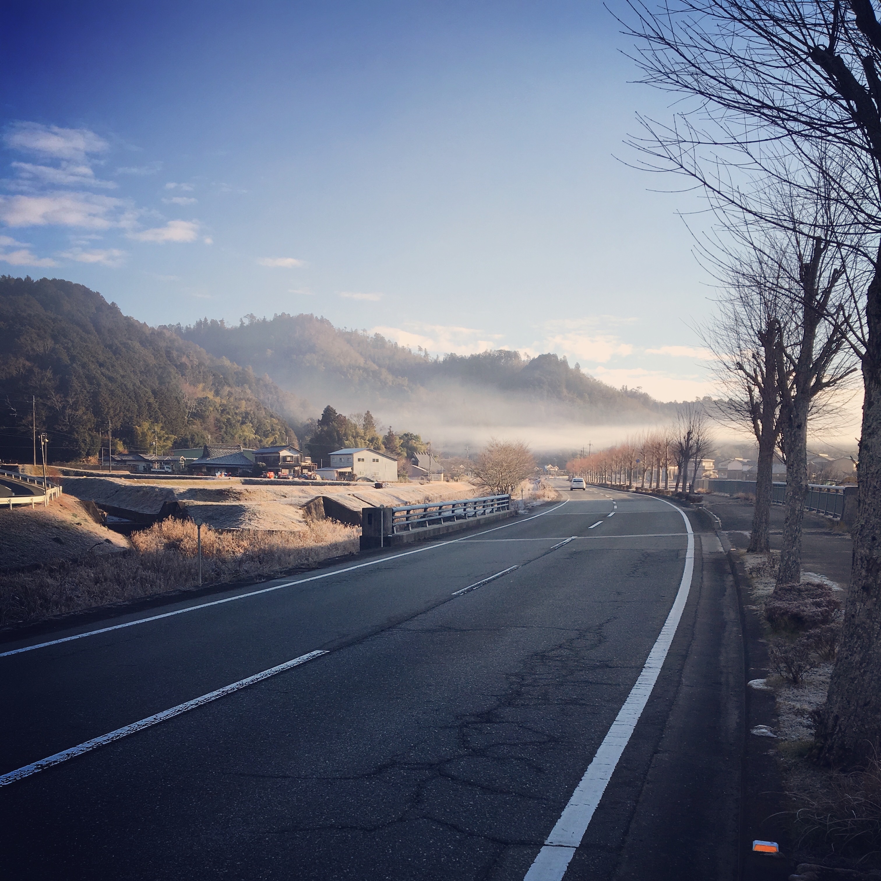 f:id:tokyo100k:20190114104953j:image