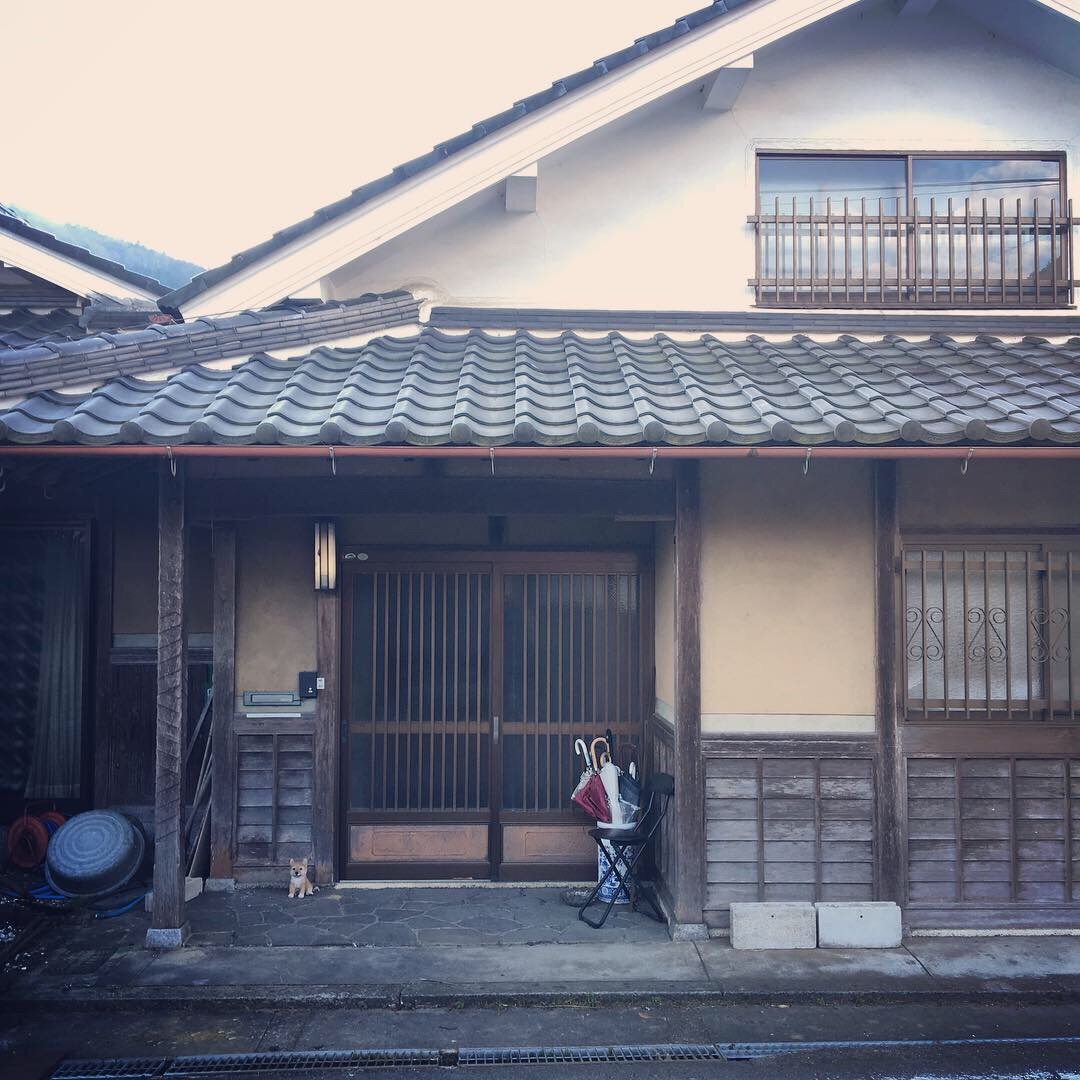 f:id:tokyo100k:20190114105025j:image