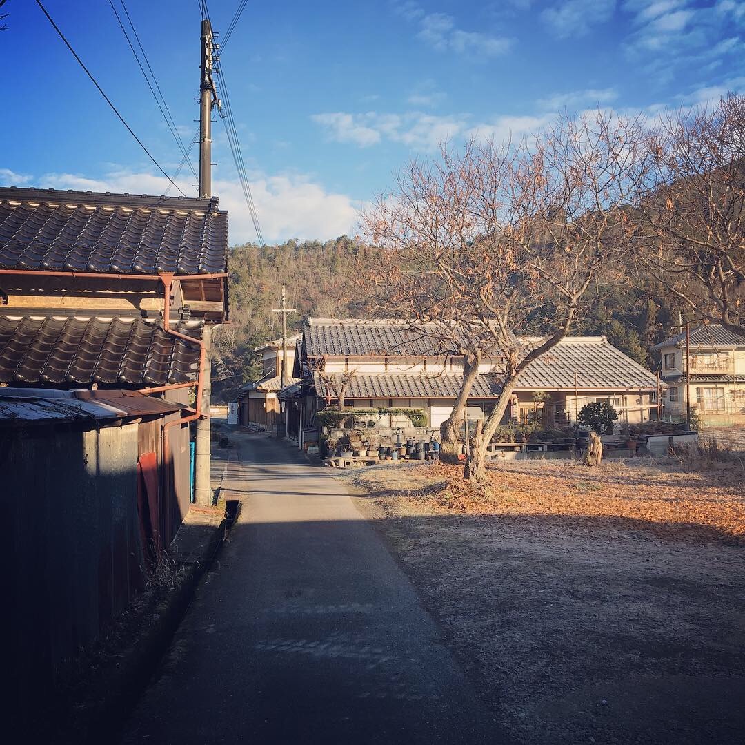 f:id:tokyo100k:20190114105036j:image
