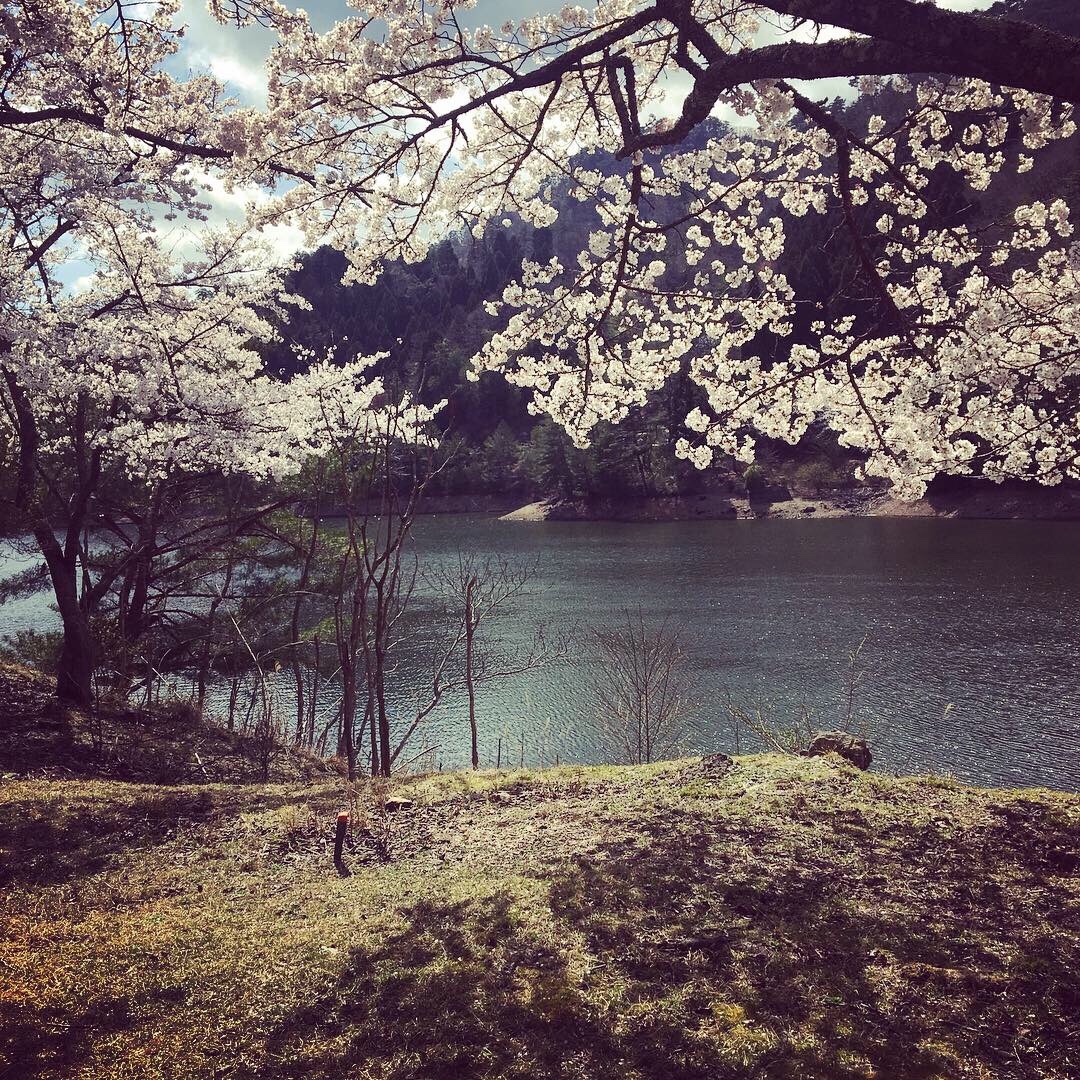 f:id:tokyo100k:20190415210253j:image