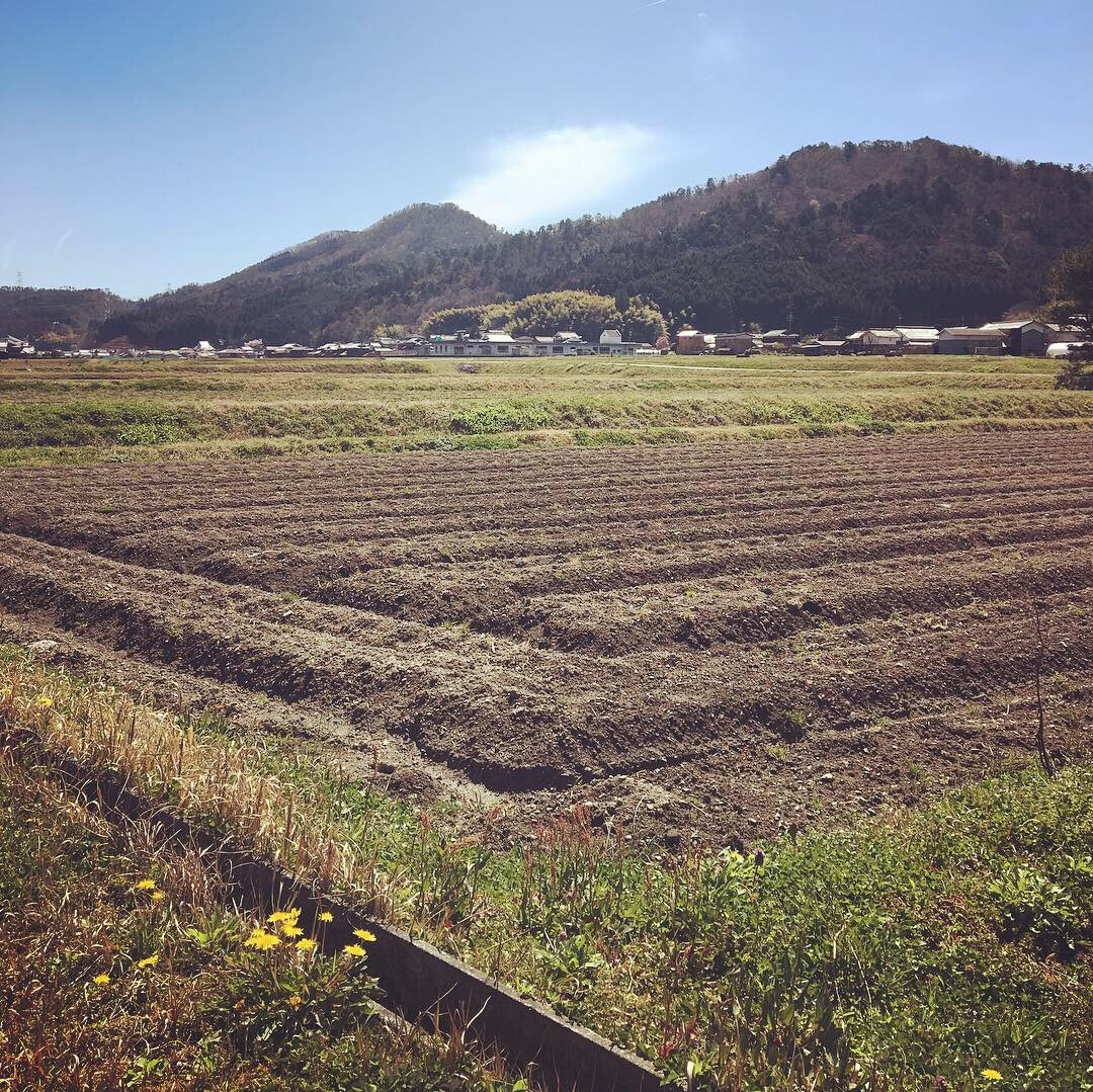 f:id:tokyo100k:20190416111528j:image f:id:tokyo100k:20190416111528j:image