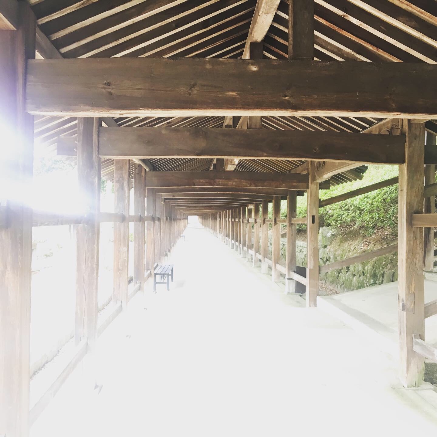 f:id:tokyo100k:20191108230123j:image f:id:tokyo100k:20191108230123j:image