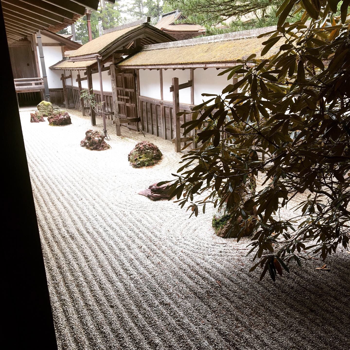 f:id:tokyo100k:20191216110036j:image f:id:tokyo100k:20191216110036j:image