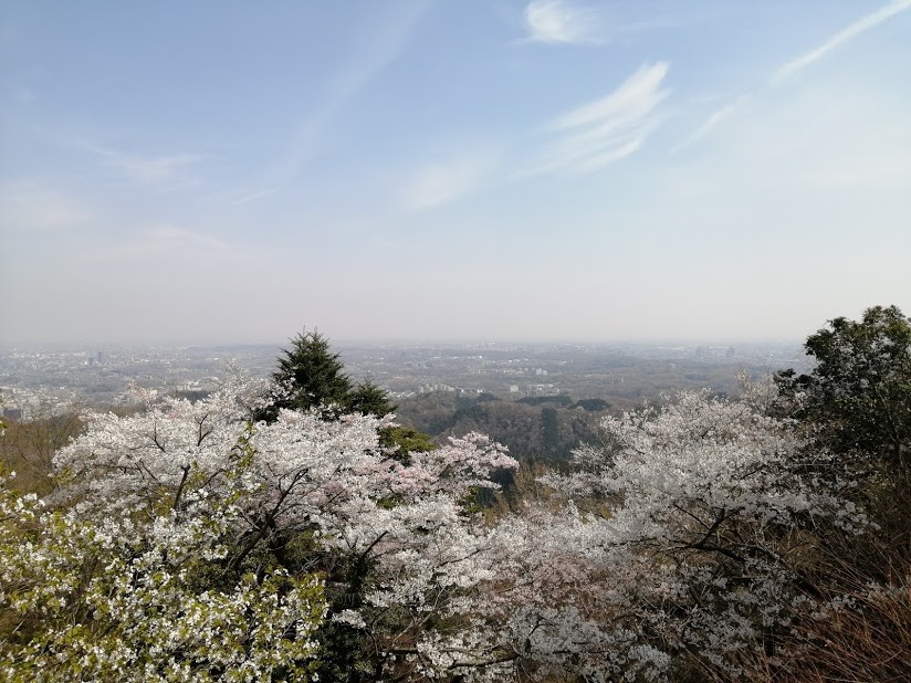 f:id:tokyo100k:20210327203245p:plain