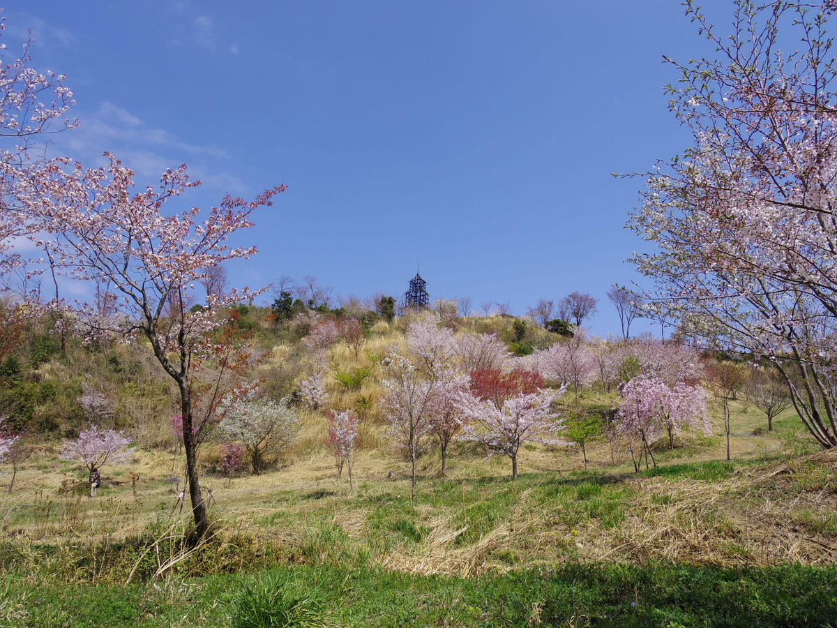 f:id:tokyo100k:20210512010550p:plain