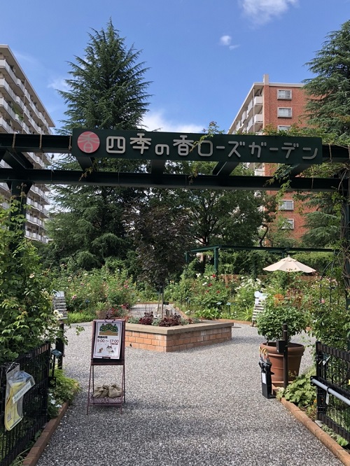 f:id:tokyoSaihakken:20180714232601j:plain f:id:tokyoSaihakken:20180714232601j:plain