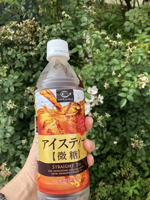 f:id:tokyoSaihakken:20180714233203j:plain f:id:tokyoSaihakken:20180714233203j:plain