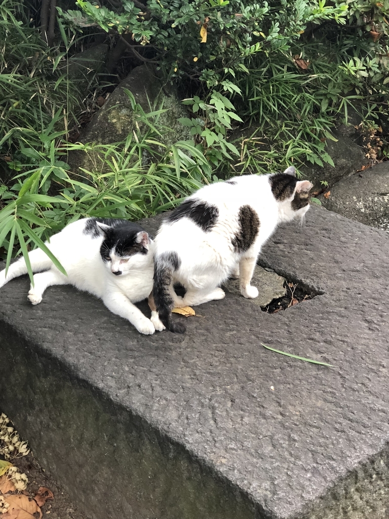 f:id:tokyoSaihakken:20180908111620j:plain f:id:tokyoSaihakken:20180908111620j:plain