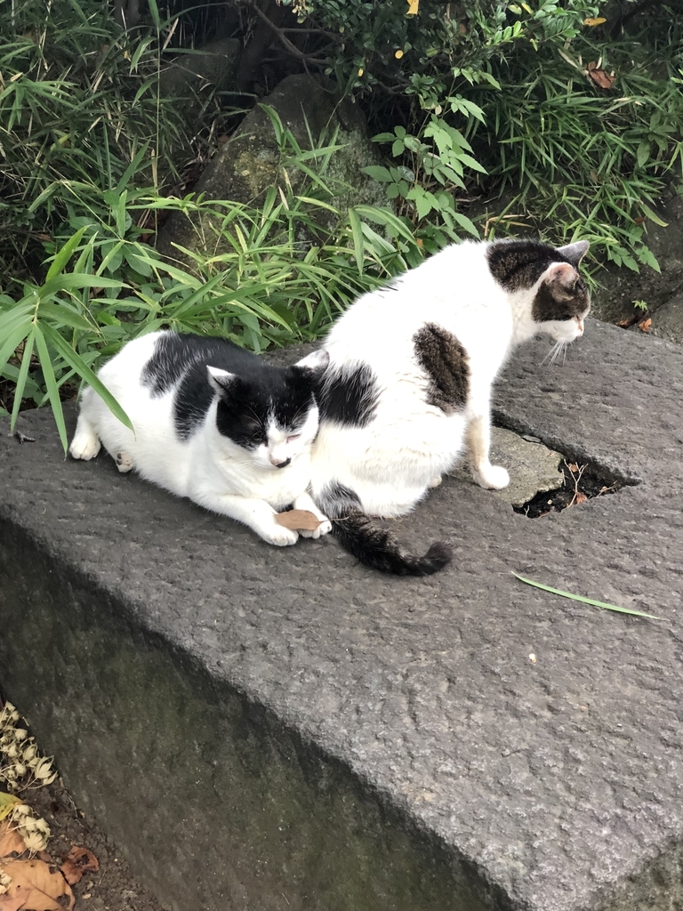 f:id:tokyoSaihakken:20180908111701j:plain f:id:tokyoSaihakken:20180908111701j:plain