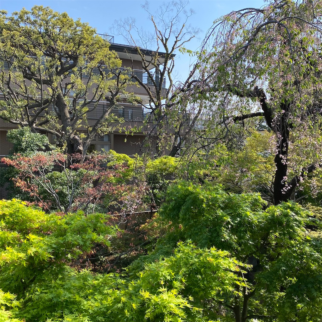 f:id:tokyo_downtown:20250524171711j:image