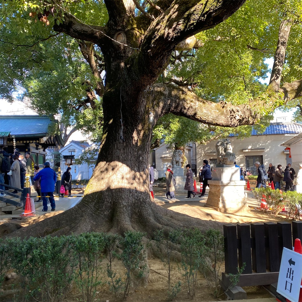 f:id:tokyo_downtown:20260207164031j:image