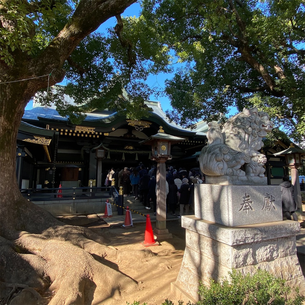 f:id:tokyo_downtown:20260207164035j:image