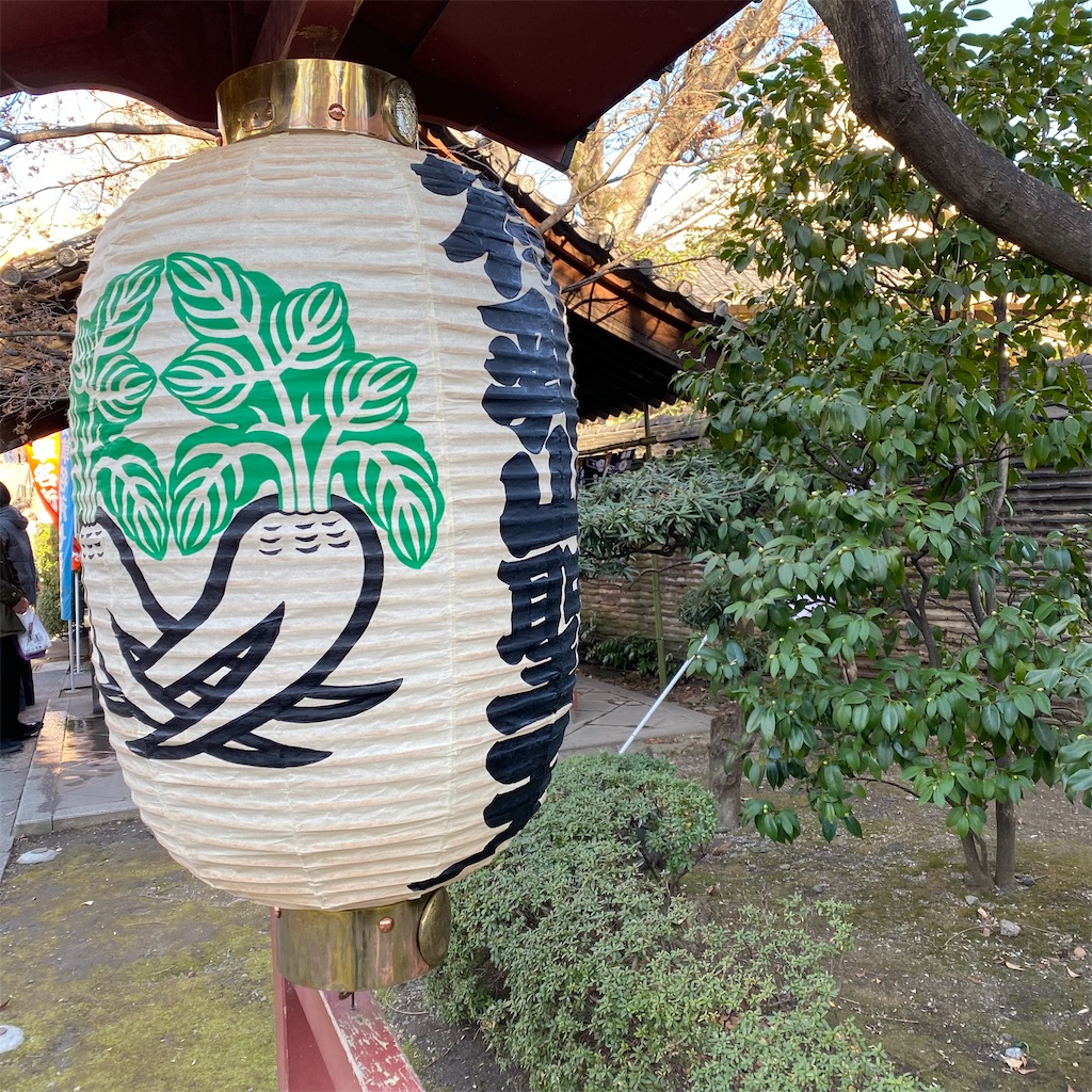 f:id:tokyo_downtown:20260221211540j:image