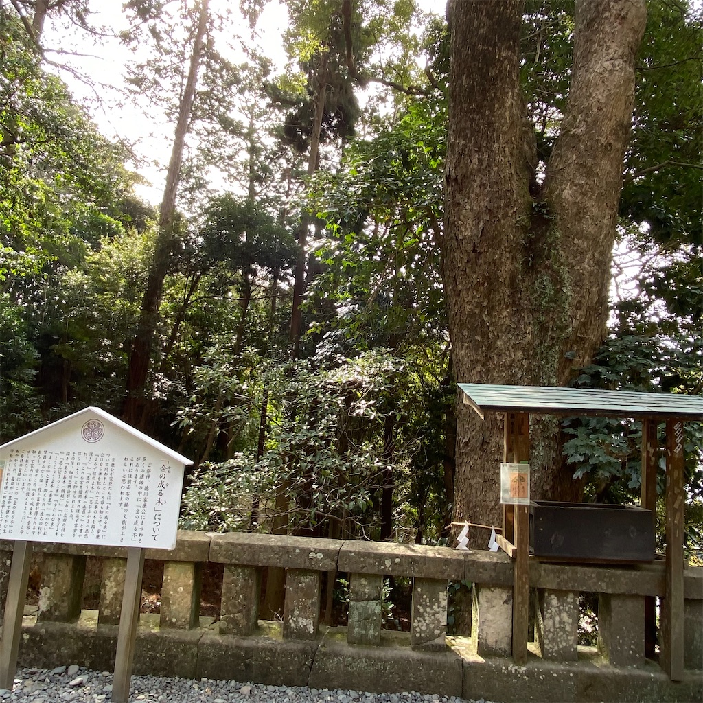 f:id:tokyo_downtown:20260502215543j:image f:id:tokyo_downtown:20260502215543j:image