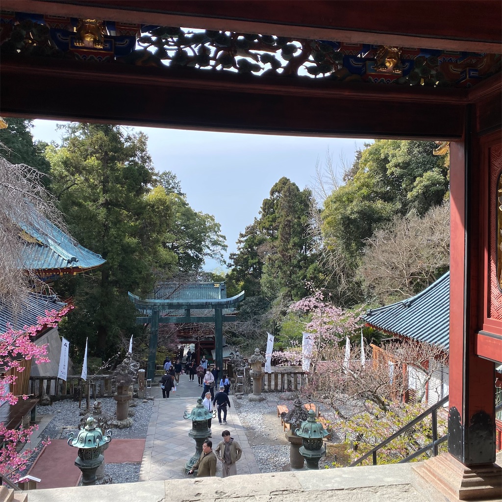 f:id:tokyo_downtown:20260502215557j:image f:id:tokyo_downtown:20260502215557j:image