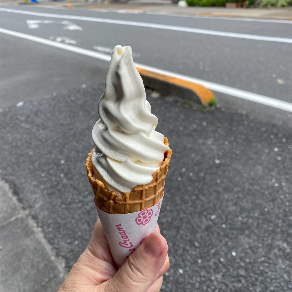 f:id:tokyo_downtown:20260725215847j:image f:id:tokyo_downtown:20260725215847j:image