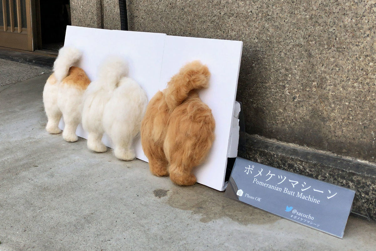 f:id:tokyo_ff:20190516232903j:plain f:id:tokyo_ff:20190516232903j:plain