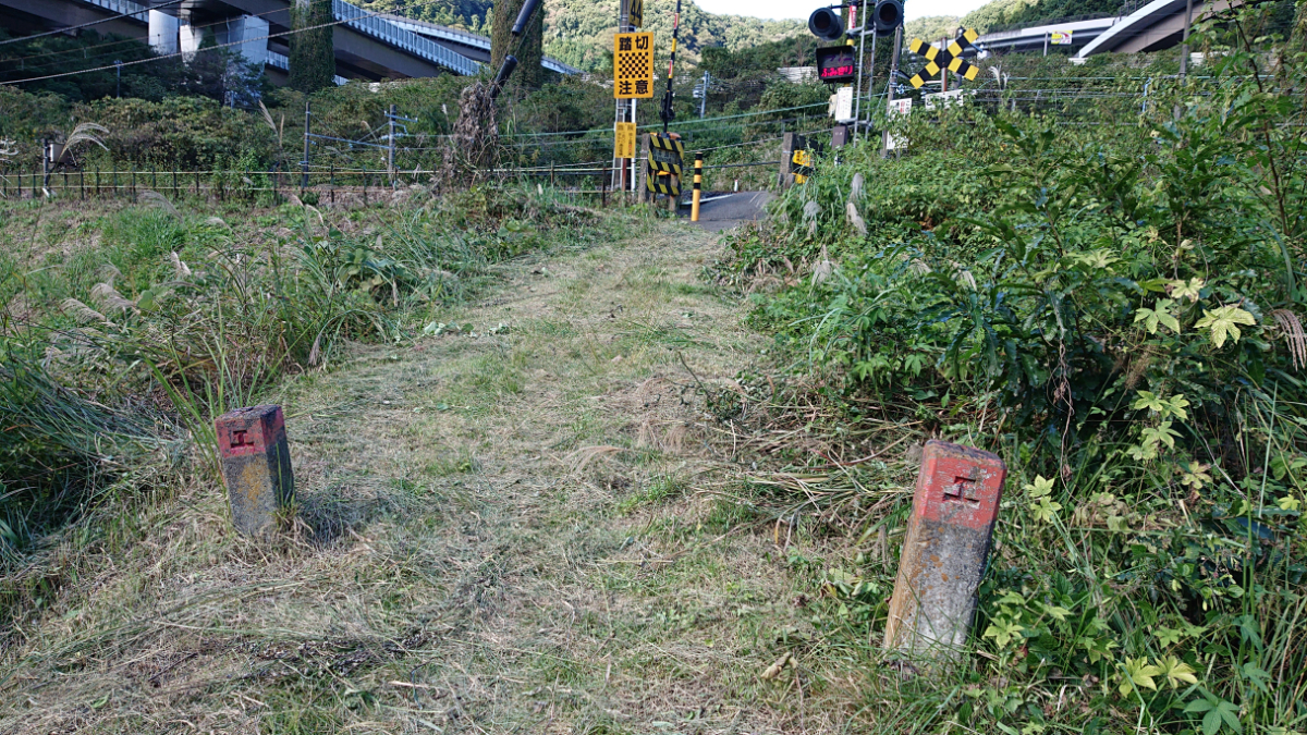 f:id:tokyo_it:20211025223514j:plain
