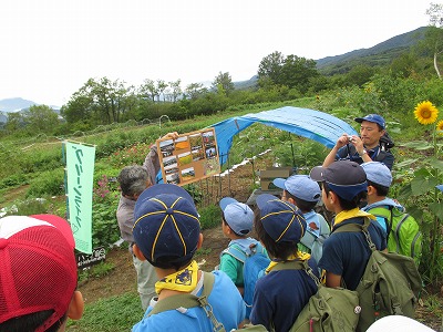 イメージ 2
