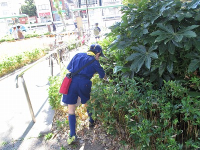 イメージ 3