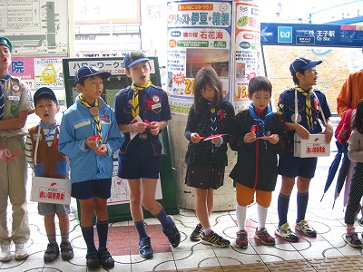 イメージ 6