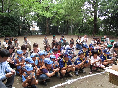 イメージ 16