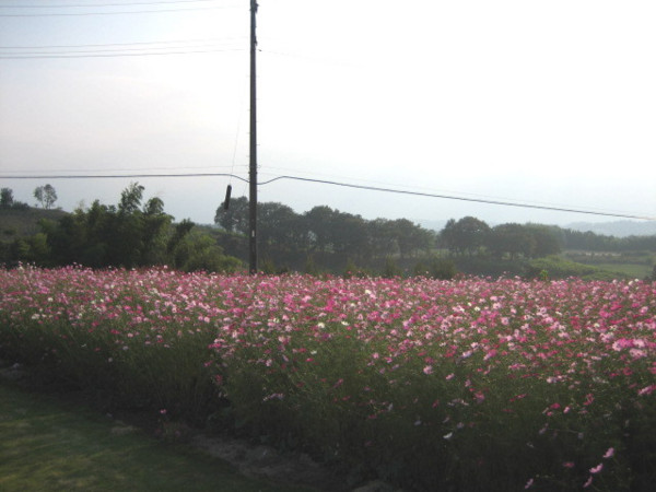 f:id:tokyo_sotai:20090917161130j:image f:id:tokyo_sotai:20090917161130j:image