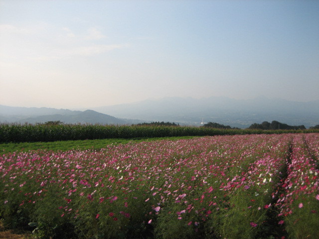 f:id:tokyo_sotai:20090917161254j:image f:id:tokyo_sotai:20090917161254j:image