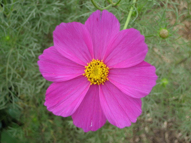 f:id:tokyo_sotai:20091001150403j:image f:id:tokyo_sotai:20091001150403j:image
