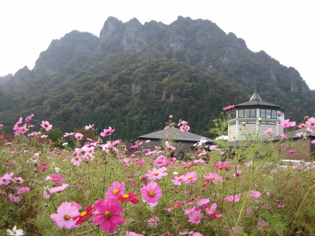 f:id:tokyo_sotai:20091022151629j:image f:id:tokyo_sotai:20091022151629j:image