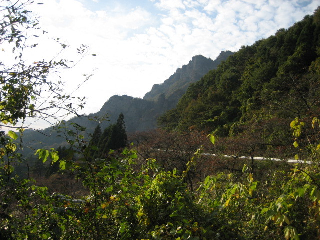 f:id:tokyo_sotai:20091022153228j:image f:id:tokyo_sotai:20091022153228j:image