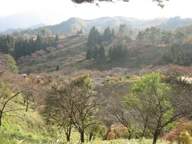 f:id:tokyo_sotai:20091022153812j:image f:id:tokyo_sotai:20091022153812j:image