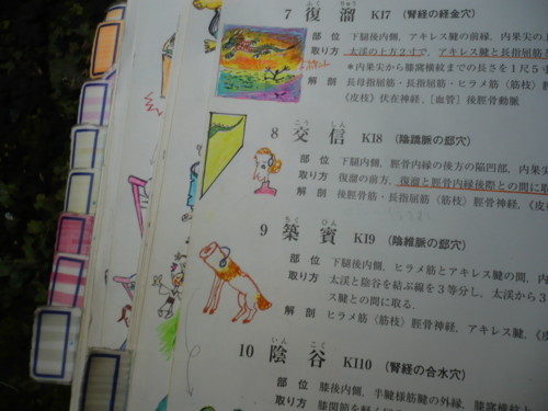 f:id:tokyo_sotai:20100612150840j:image
