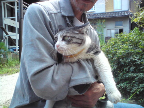 f:id:tokyo_sotai:20100901104021j:image