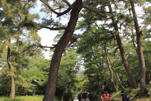 f:id:tokyo_sotai:20110830152814j:image f:id:tokyo_sotai:20110830152814j:image