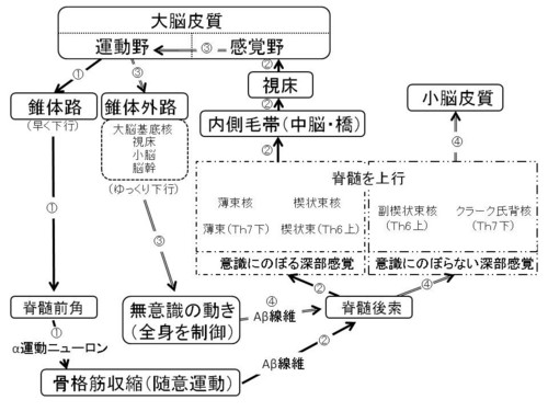 f:id:tokyo_sotai:20111229074530j:image