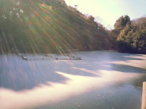 f:id:tokyo_sotai:20130119123648j:image f:id:tokyo_sotai:20130119123648j:image
