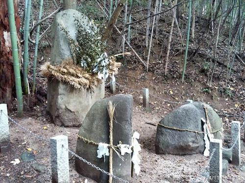 f:id:tokyo_sotai:20141203185215j:image