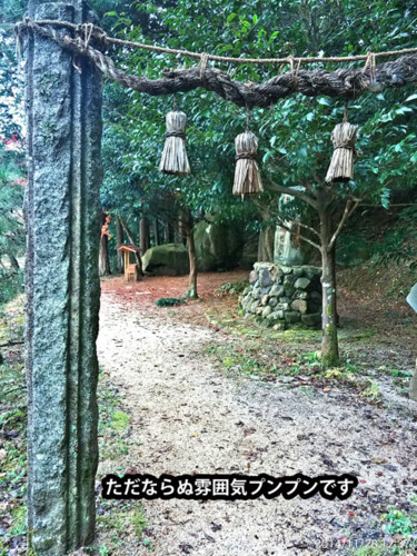 f:id:tokyo_sotai:20141204130908j:image