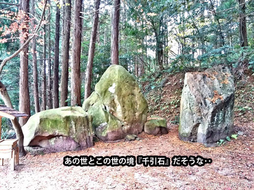 f:id:tokyo_sotai:20141204130909j:image