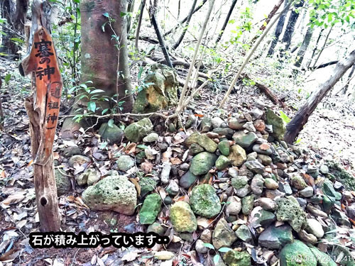 f:id:tokyo_sotai:20141204130911j:image
