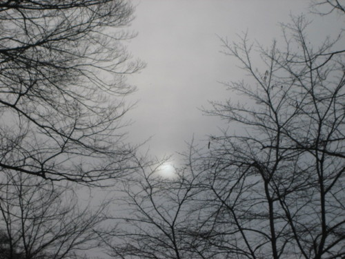 f:id:tokyo_sotai:20150129155633j:image