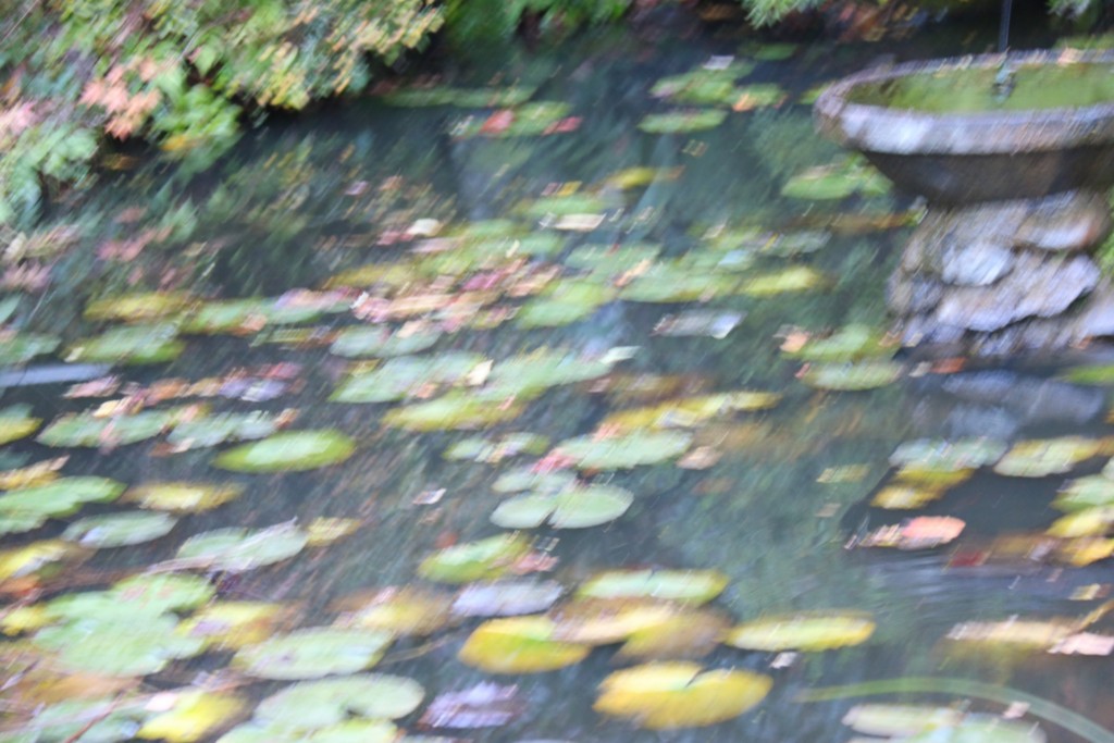 f:id:tokyo_sotai:20151201212711j:plain