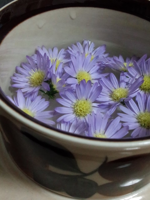 f:id:tokyo_sotai:20161122232733j:plain