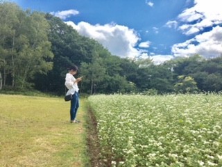 f:id:tokyo_sotai:20171009062240j:plain