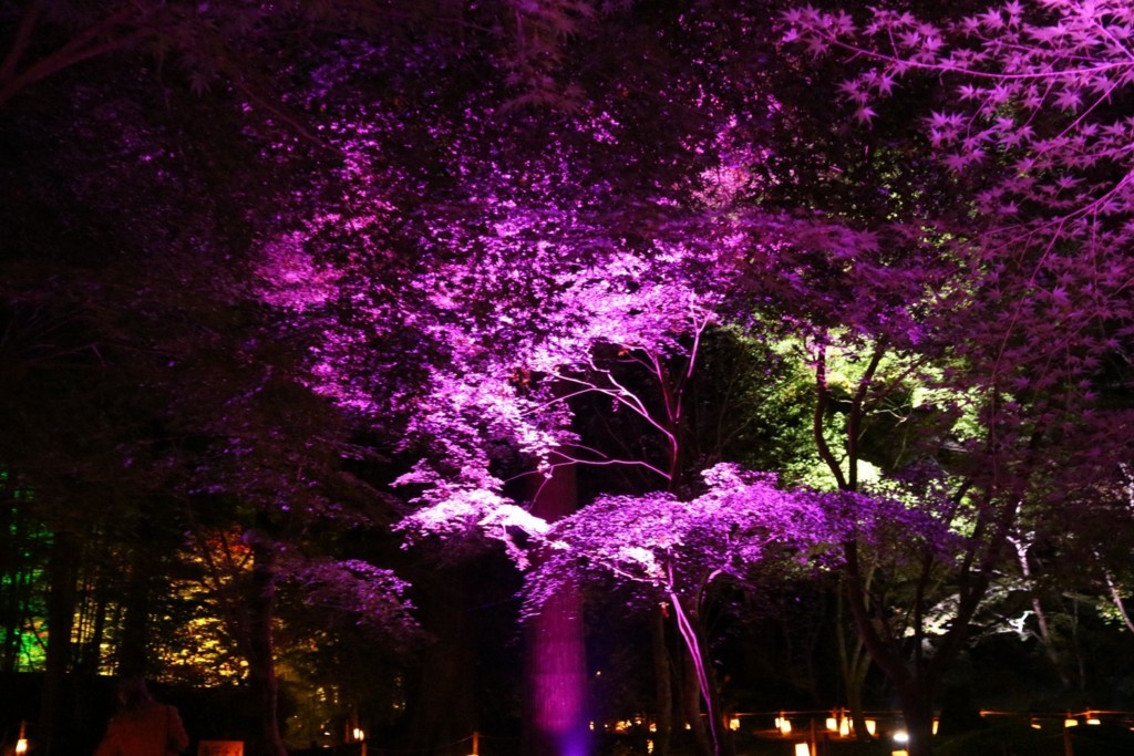 f:id:tokyo_sotai:20171116132910j:plain