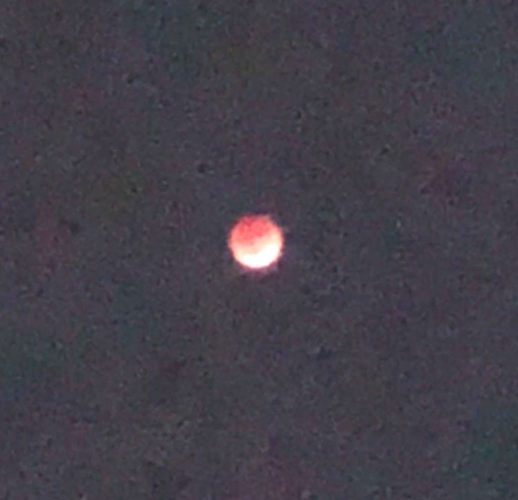 f:id:tokyo_sotai:20180201165446j:plain