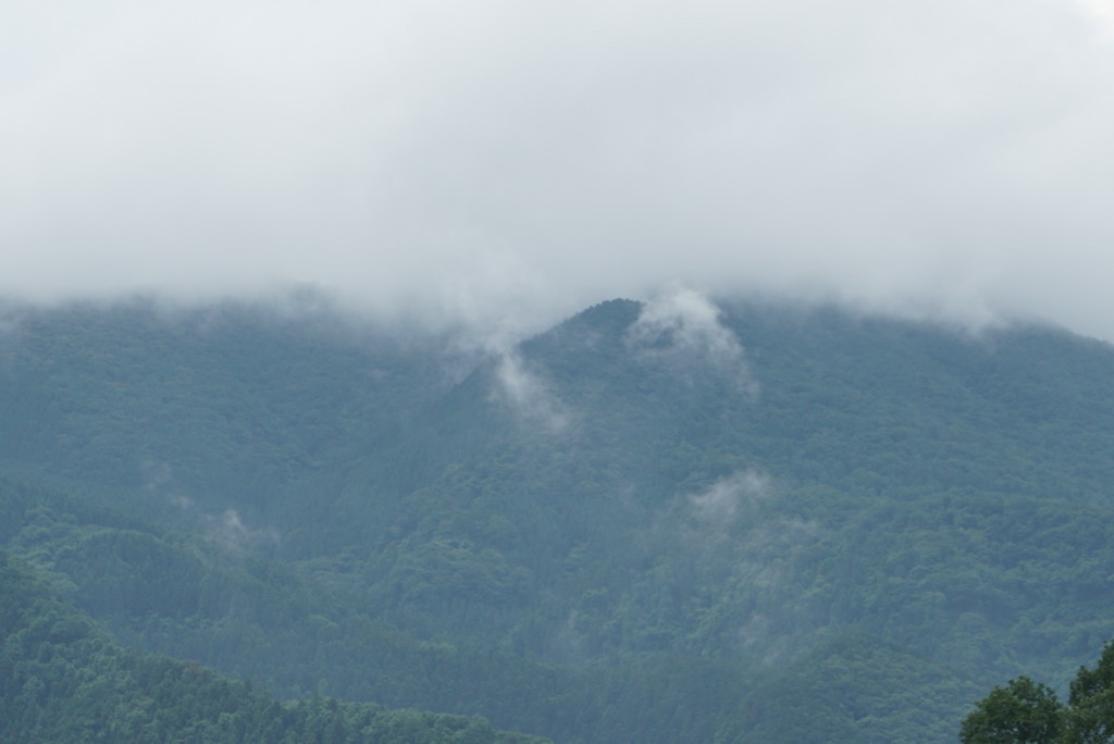 f:id:tokyo_sotai:20180628103725j:plain f:id:tokyo_sotai:20180628103725j:plain