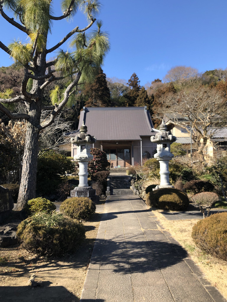 f:id:tokyo_sotai:20190206232809j:plain